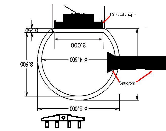 dplenumsize1.JPG